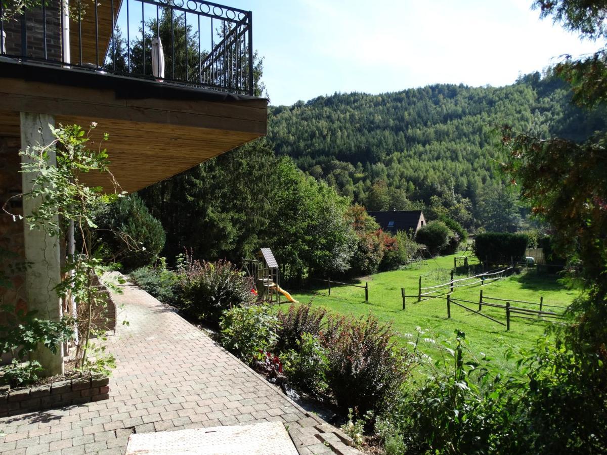 Studio Eveux La-Roche-en-Ardenne Luaran gambar